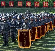 ld sports- 斯图加特对海登海姆 